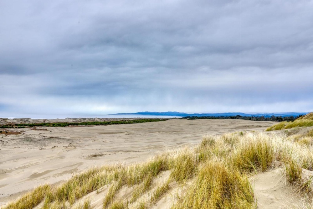 Eureka Apartments Main image